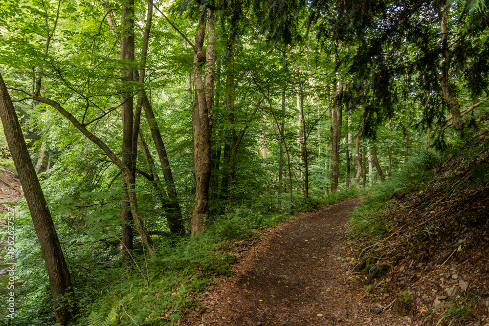 Fototapeta premium Hiking trail in Bode valley, Saxony-Anhalt state, Germany