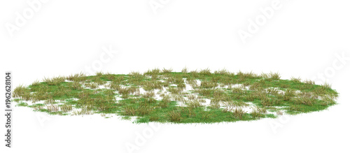 Vászonkép Isolated 3d cluster of green and brown grass and vegetation on a transparent background, natural ground cover element