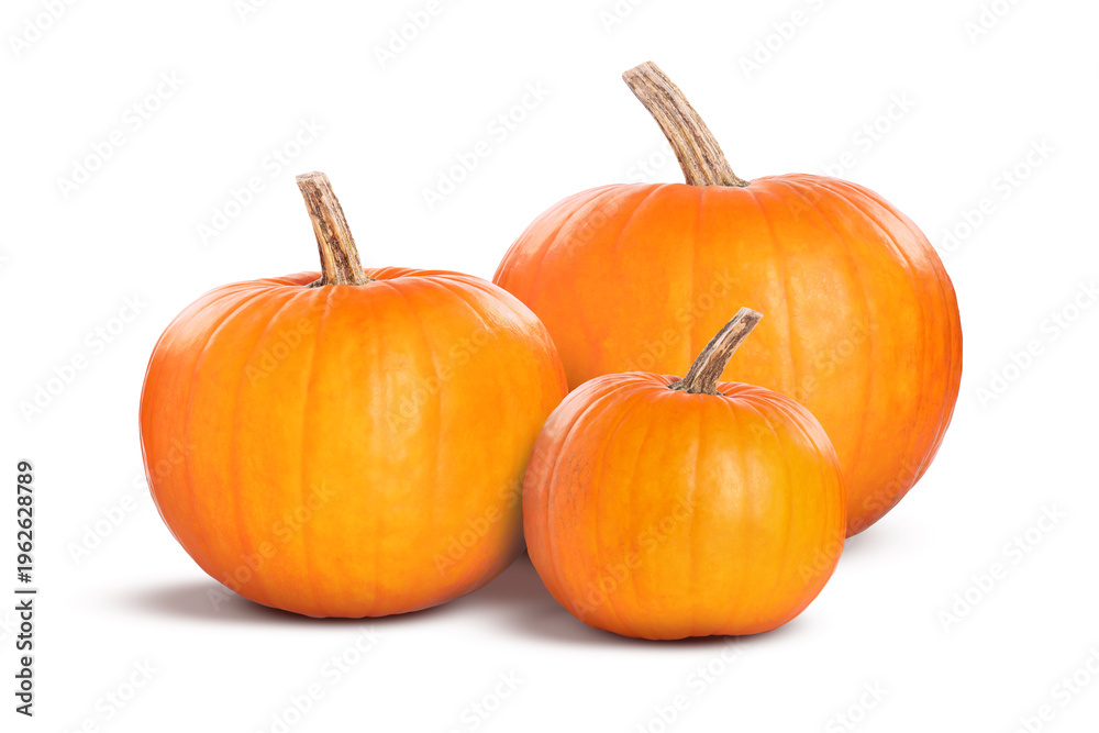 Obraz premium Fresh ripe pumpkins on white background. Gourd vegetable