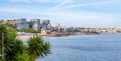 Praia da Ribeira beach and old town of Cascais, Portugal framed by green Yucca plant leaves in foreground. Panorama of calm blue sea, modern architecture and historic buildings with clear sky