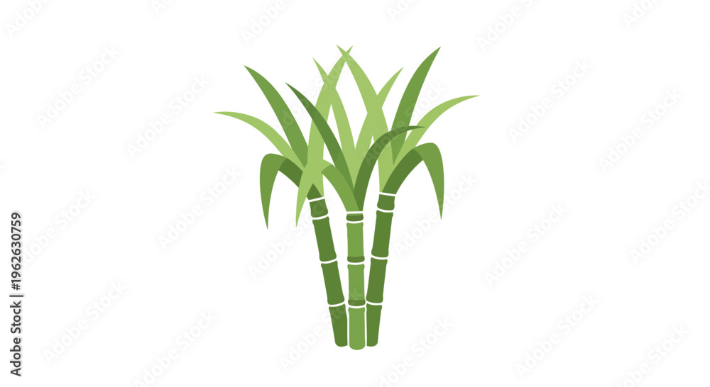 Obraz premium Stylized sugarcane plant illustration depicting agriculture and tropical growth