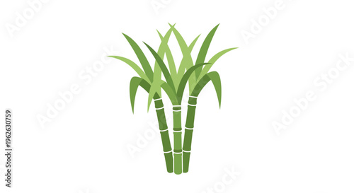 Stylized sugarcane plant illustration depicting agriculture and tropical growth
