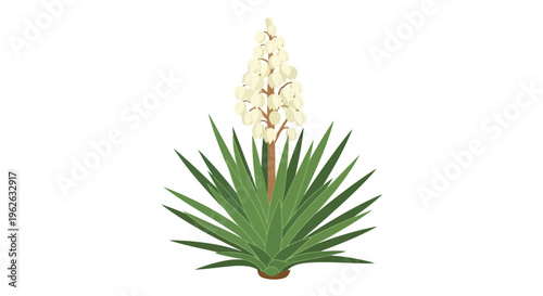 Stylized yucca plant illustration featuring a tall bloom against a white background