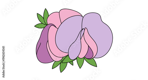 Sweet Pea Flower Vector Illustration, Floral Design, Botanical Art, Nature, Springtime