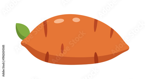 Sweet Potato Vector Illustration, Flat Design, Healthy Food, Vegetable, Cooking, Dieting