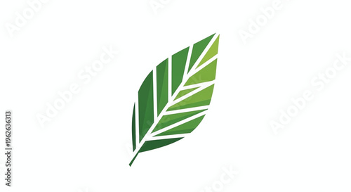 A vibrant green leaf with white veins stands out against a plain background in a close-up view.