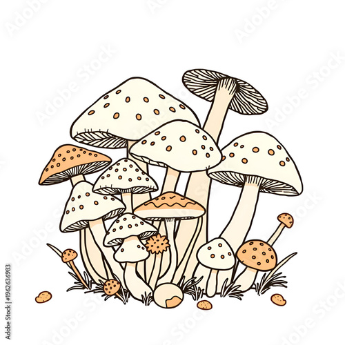 A charming cluster of various mushrooms grows together rendered with a flowing single continuous line