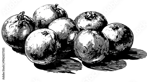 A black and white illustration of several fruits clustered together, with shaded detail