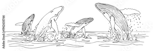 Breaching Whales Jumping from Ocean Water Set Wildlife Nature Sketch for Marine Conservation