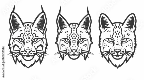 Three stylized, black and white lynx face illustrations. Each one shows a unique expression