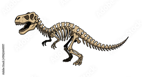 Tyrannosaurus Rex skeleton illustration, vector style graphic, for educational use, paleontology.