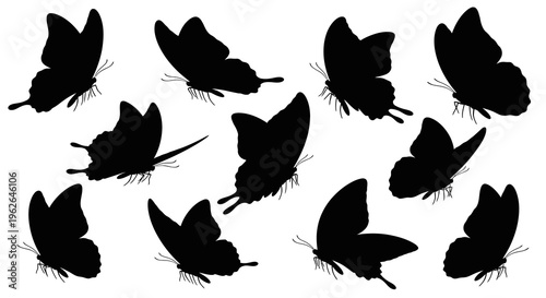 Silhouettes of multiple black butterflies in various flying positions and orientations