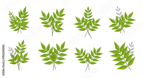 Collection of vibrant green leaf branches and foliage elements. EPS Editable. Vector Illustrations.