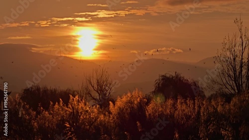 4K Sunrise Over a Tranquil Landscape in China