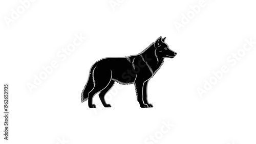 black dog standing isolated on white background