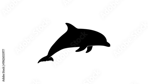 black dolphin silhouette swimming isolated on white background