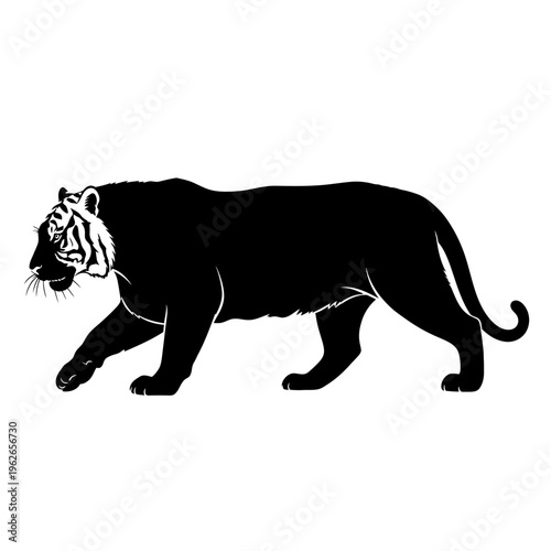 black tiger walking silhouette