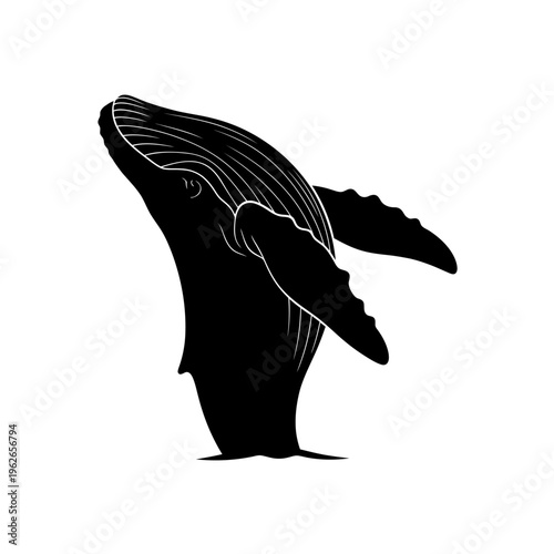 Black silhouette of a humpback whale breaching