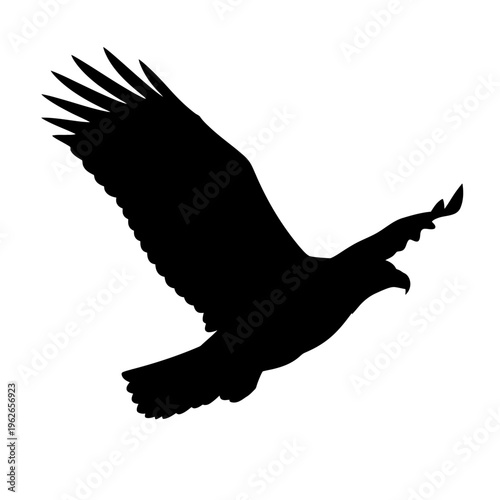 black eagle silhouette flying isolated on white background