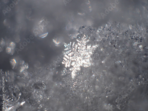 Obraz w ramie 雪の結晶