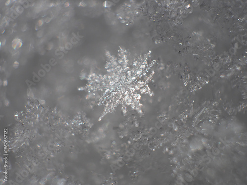 Tapety artystyczne 雪の結晶