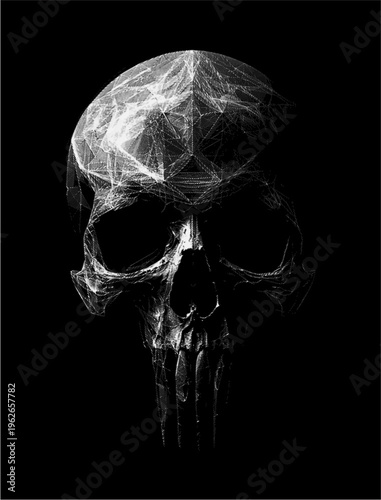 reticulated skull 35pt.eps