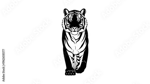 black and white tiger vector illustration