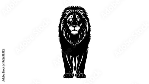 black lion vector illustration standing