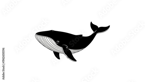 black and white vector illustration of a whale