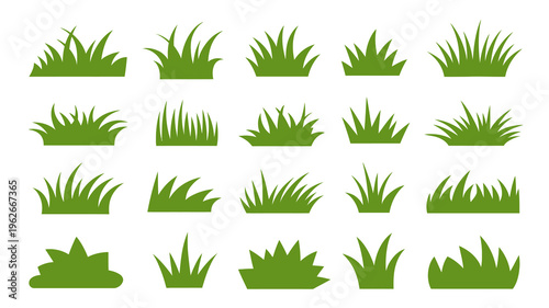 A collection of various green grass tufts and blades arranged against a plain white background showcasing diverse shapes high quality professional detailed modern elegant stylish clean