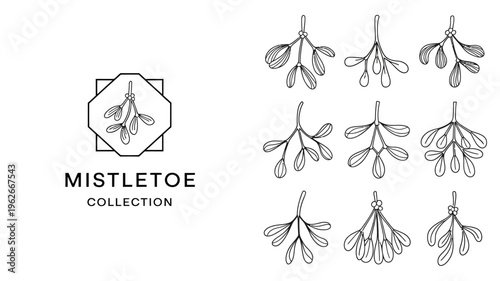 A minimalist illustration displays a collection of mistletoe sprigs arranged in a grid with a framed example and the text mistletoe collection high quality professional detailed
