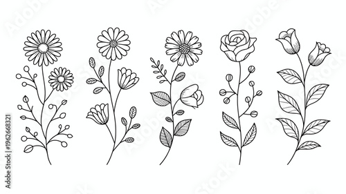 A delicate black and white illustration depicts a variety of blooming flowers and leafy stems arranged in a horizontal line high quality professional detailed modern elegant