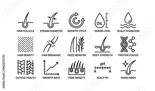 Hair health infographic: follicle, growth, scalp hydration, density, ph balance