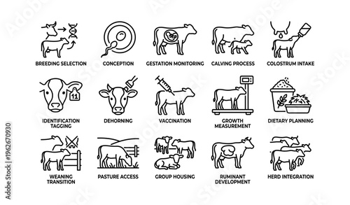 Livestock management techniques illustrated with cattle icons