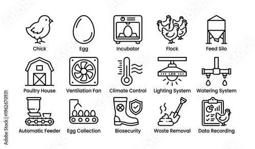 Icon set of chicken farming equipment and processes