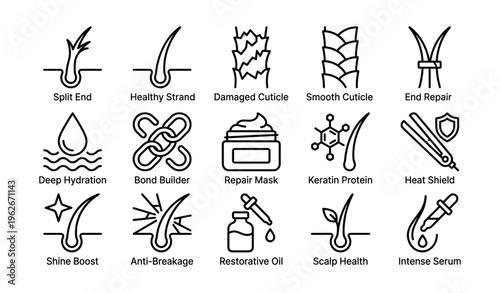 Hair care icons: split ends, cuticle smooth, deep hydration, repair mask, keratin protein