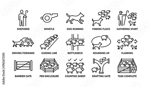 Illustrated sheep herding techniques and commands overview