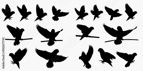Set of black bird silhouettes in various flying and perching poses, isolated on a transparent background, depicting motion and grace.