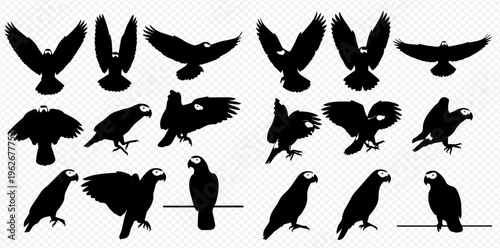 Set of black parrot silhouettes in various poses including flying, standing, and perching, isolated on a transparent background.
