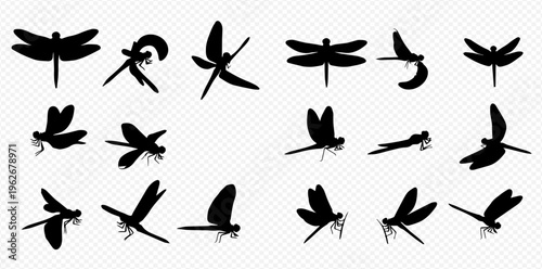 Set of various black dragonfly silhouettes on a transparent background, vector illustration.