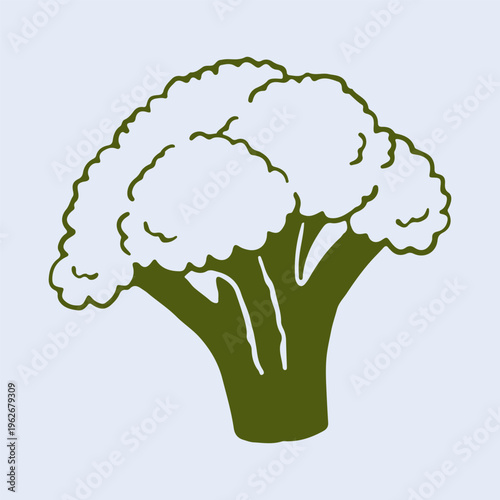 Minimalist vector illustration of a fresh broccoli floret. This clean hand drawn vegetable sketch is ideal for health conscious branding and educational nutrition materials