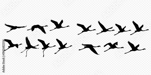 Flamingo flying animation frames or sequence sprites in black silhouette on a transparent background.