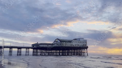 A Swarm of birds at night, at the beach of Blackpool, UK.