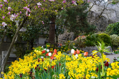 Fényképezés Spring Blooms at Jardin des Dauphins, Grenoble