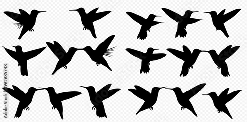 Set of hummingbird silhouettes in various flying and hovering poses, isolated on a transparent background.