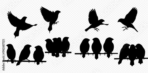Set of black bird silhouettes in various poses, flying and perched on branches, isolated on transparent background.