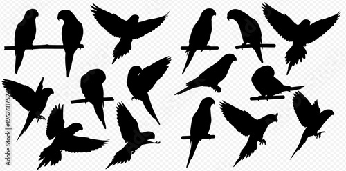 Collection of parrot silhouettes in various poses including perching and flying, ideal for graphic design elements.