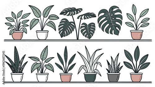 Minimalist collection of hand drawn indoor potted plants on horizontal wooden shelves