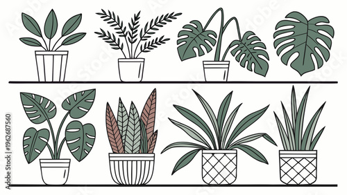 Minimalist hand drawn indoor greenery set featuring various potted plants on shelves