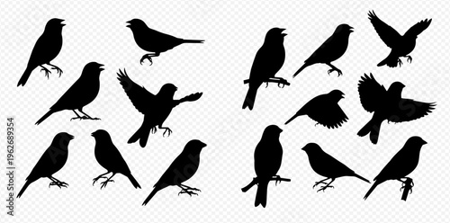 Collection of bird silhouettes in various poses including flying, perched, and standing, ideal for design elements.